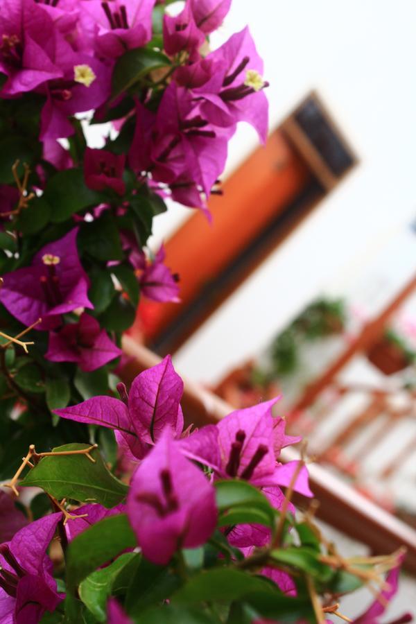 Amaru Hotel Huaraz Exterior foto